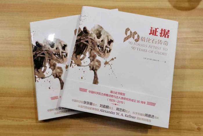 中国古动物馆开设特展《90周年纪念展》北京猿人头盖骨化石模型重磅展出