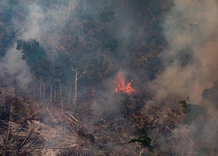 亚马逊森林大火备受国际关注。