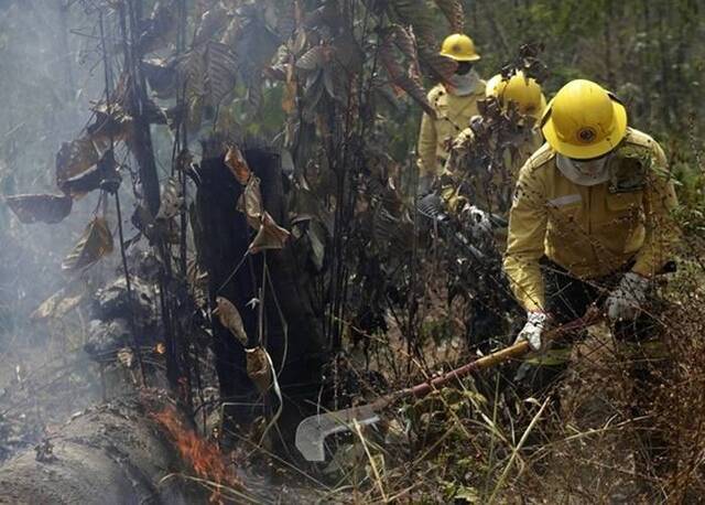 巴西消防员在火场扑灭火势。