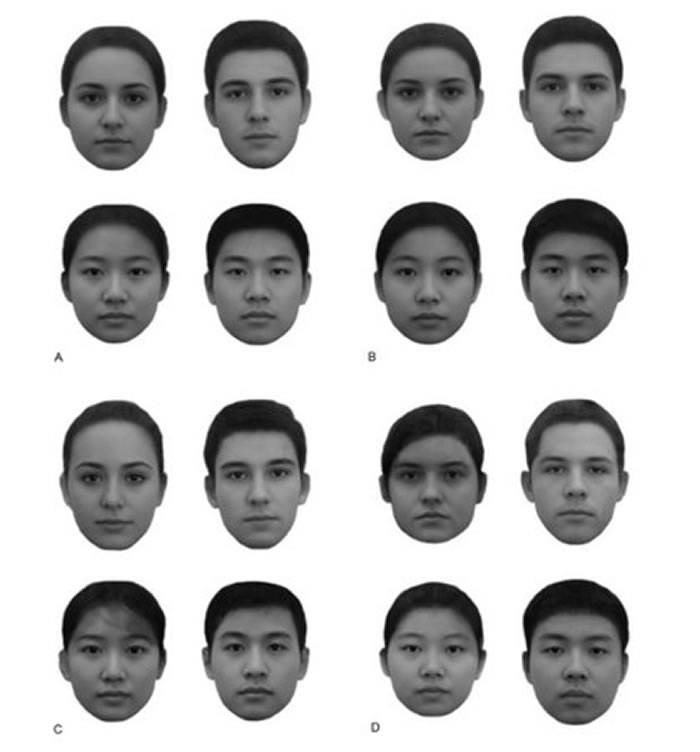 实验让受试者观察80位男性以及80位女性的黑白照片。（图／翻摄自researchgate）