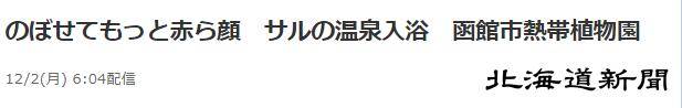 北海道猴子惬意泡温泉 日本网友羡慕:人不如猴啊