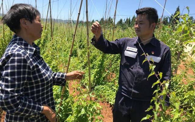 “山药书记”帮村里找到产业 还帮留守儿童“找”回父母