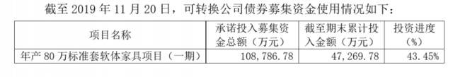 顾家家居：土地指标调整延迟，募投项目无法按计划完工