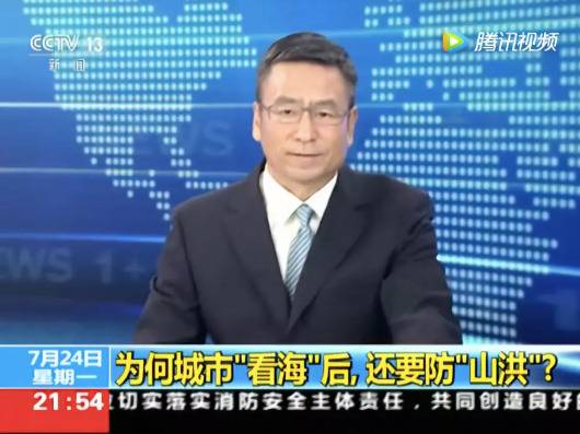 曾被央视质问的原省委书记之子被严批(图)