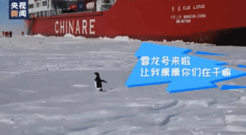 央视记者南极行：雪龙船的“破冰行动”