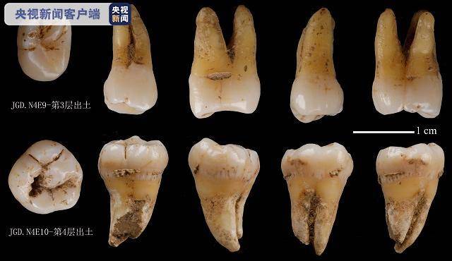 △陕西南郑疥疙洞遗址原生地层出土人类牙齿化石