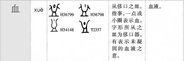 陈年福：用大众能够接受的方式去普及甲骨文