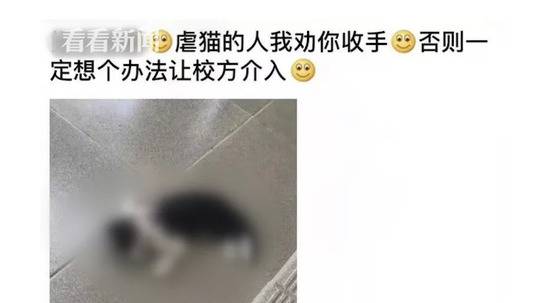 校内数只小猫相继死亡疑遭虐待 学生：睡觉都怕