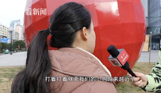 爱犬被大狗一口咬死 对方主人：狗咬的与我无关