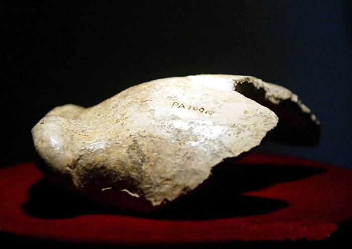 周口店龙骨山发现第一个头盖骨90年北京猿人是我们的祖先吗?