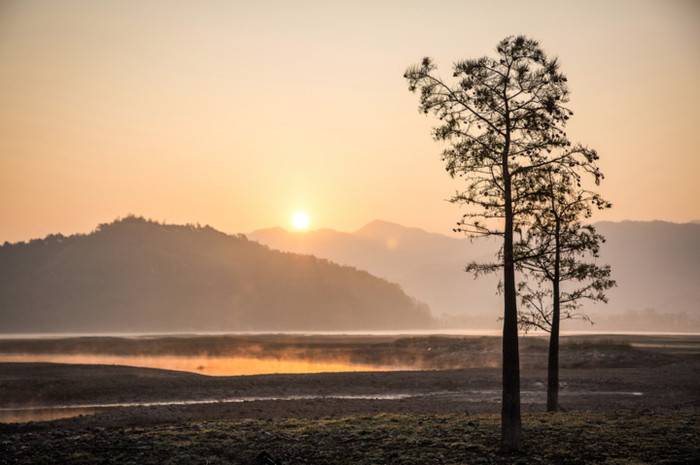 黄岩长潭水库水杉冬景动人