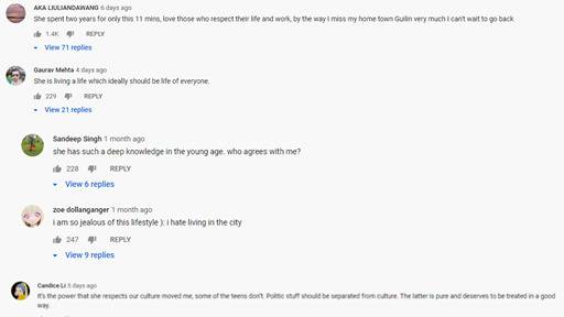  Screenshot of comments on Li Ziqi‘s YouTube page。/Screenshot via YouTube