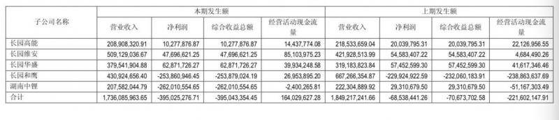 起底常德中兴：坚瑞沃能、长园集团与中材科技的资本往事