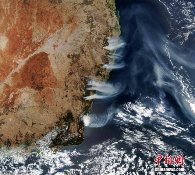 澳大利亚森林大火失控专家：气候变迁属国防议题