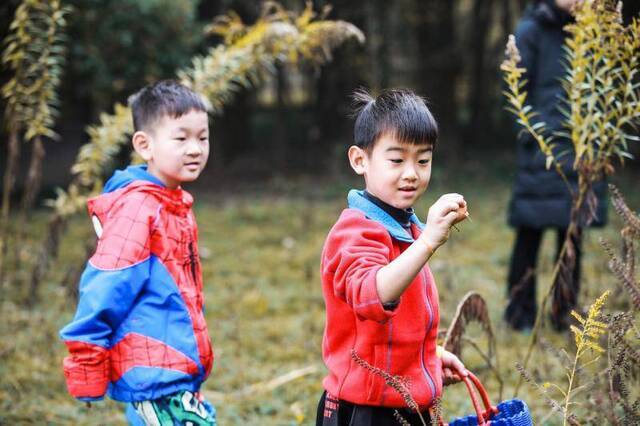 在乌村，过一个乡野农趣里的传统新年