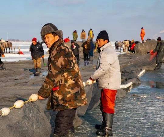 吉林查干湖冬捕开始，但想吃大鱼还得等几天