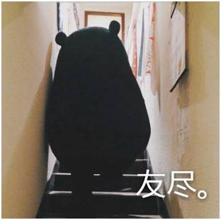 熊本熊表情包图源：网络