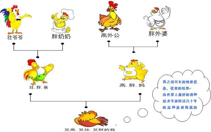 熟制禽肉赴美 美方在输美最终规则中增加“自产”两个字