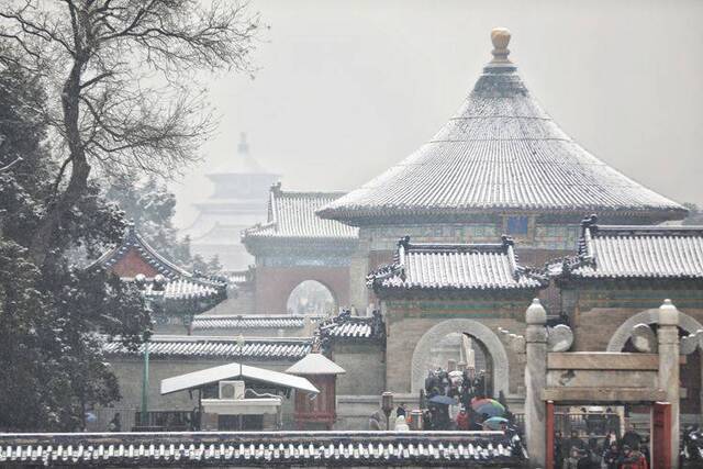 第二场雪  镜头（五）天坛公园 红墙“雪鼠”惹人爱