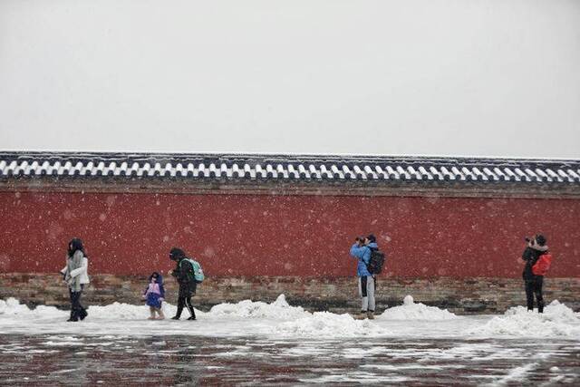 第二场雪  镜头（五）天坛公园 红墙“雪鼠”惹人爱