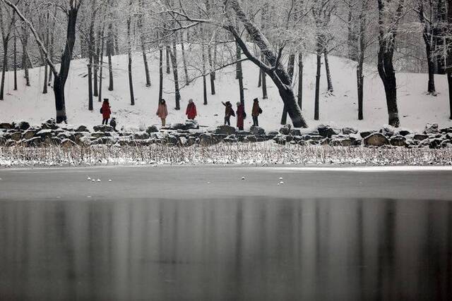 第二场雪  镜头（六）雪一直下 圆明园赏雪有佳景