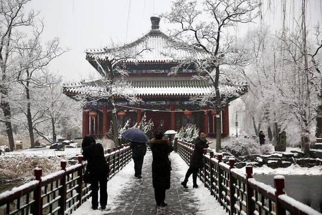 第二场雪  镜头（六）雪一直下 圆明园赏雪有佳景