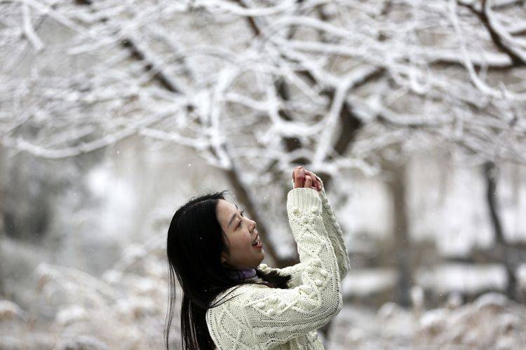 第二场雪  镜头（六）雪一直下 圆明园赏雪有佳景