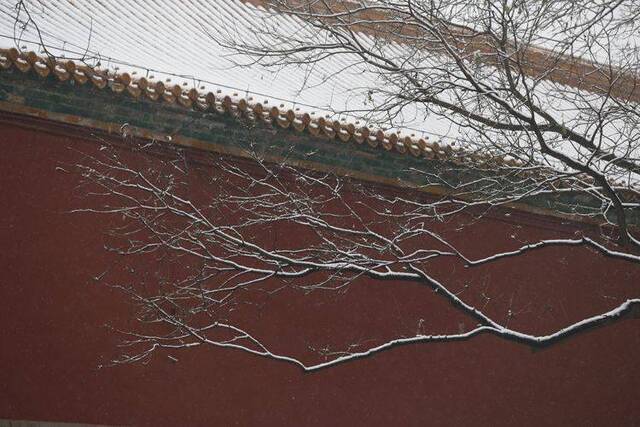 第二场雪  镜头（七）故宫闭馆 大雪“敲门”