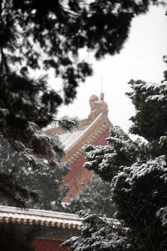 第二场雪  镜头（七）故宫闭馆 大雪“敲门”