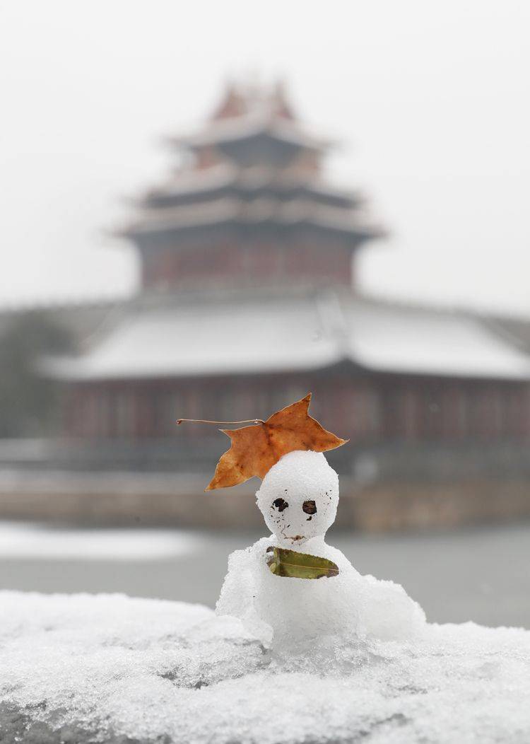 第二场雪  镜头（七）故宫闭馆 大雪“敲门”