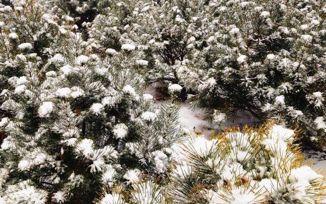 扎堆景区赏雪？来京郊农村和娃娃们一起打雪仗堆雪人吧