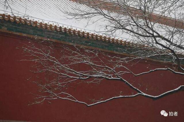 第二场雪｜朋友圈雪景图斗不过？拿走不谢！