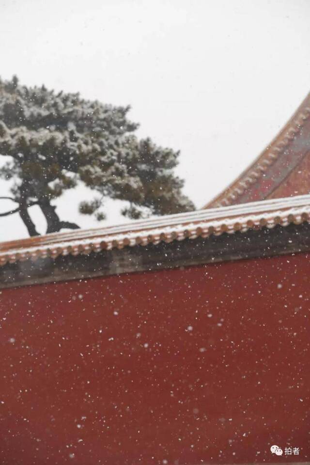 第二场雪｜朋友圈雪景图斗不过？拿走不谢！