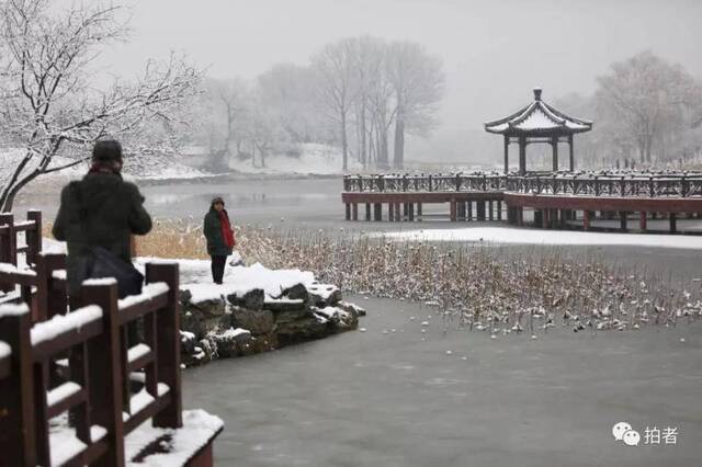 第二场雪｜朋友圈雪景图斗不过？拿走不谢！