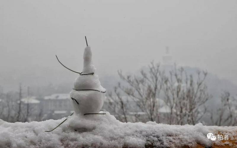 第二场雪｜朋友圈雪景图斗不过？拿走不谢！