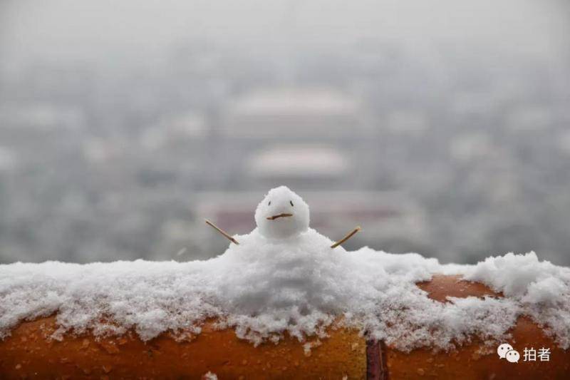 第二场雪｜朋友圈雪景图斗不过？拿走不谢！