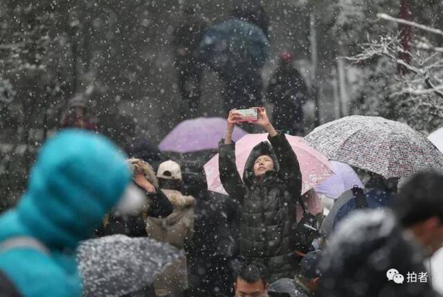 第二场雪｜朋友圈雪景图斗不过？拿走不谢！