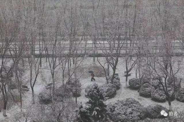 第二场雪｜朋友圈雪景图斗不过？拿走不谢！