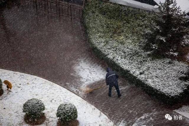 第二场雪｜朋友圈雪景图斗不过？拿走不谢！