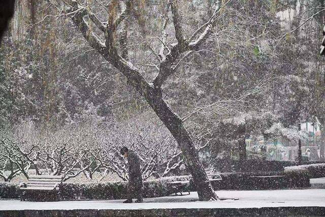 组图  周一早高峰 市民冒雪出行