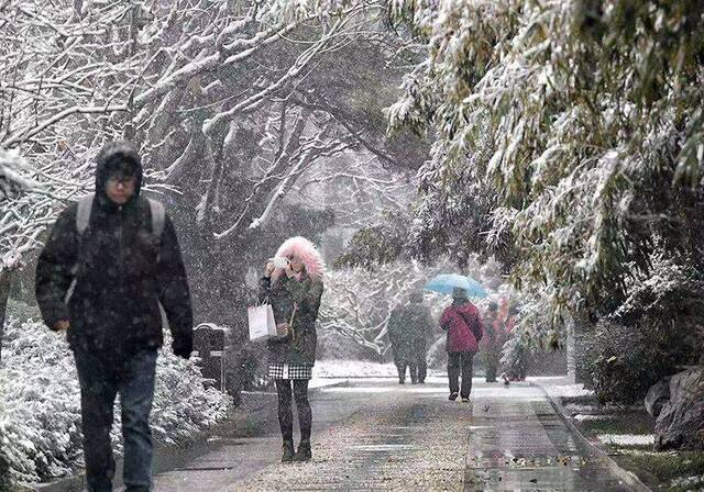 第二场雪  镜头（三）停下脚步 拥抱瑞雪