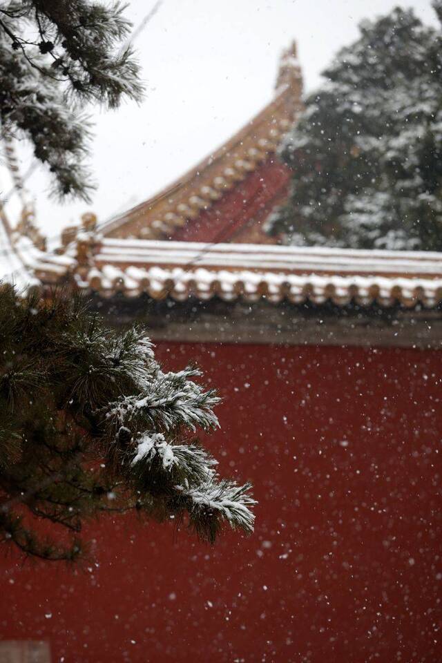 第二场雪  镜头（四）堆雪人 赏雪景