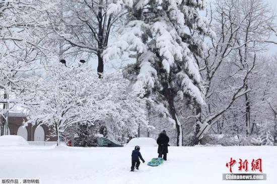 美遭冬季风暴侵袭：约5500万人受影响致至少10死