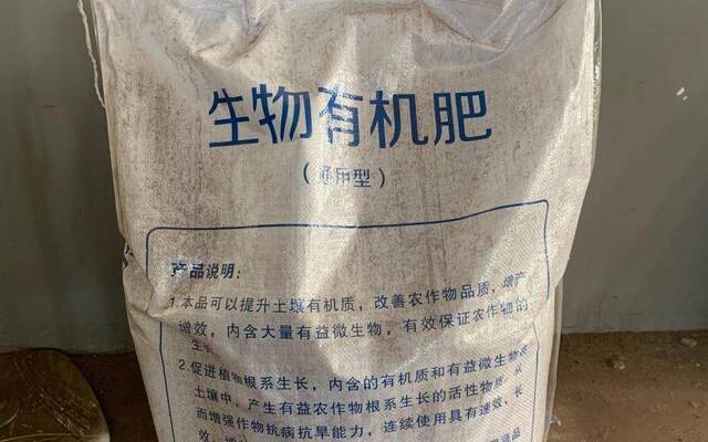 牛粪再利用 窦店村这片小麦用上自产有机肥