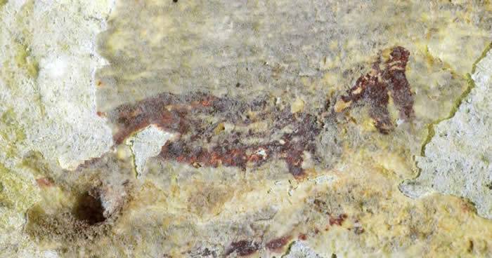 印尼苏拉威西岛洞穴发现4.4万年前叙述故事的壁画半人半兽的生物手持矛猎杀动物