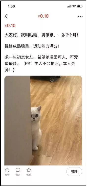 宠物也难逃被安排相亲 主人：物质不能满足我的爱