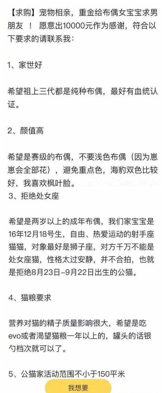 宠物也难逃被安排相亲 主人：物质不能满足我的爱