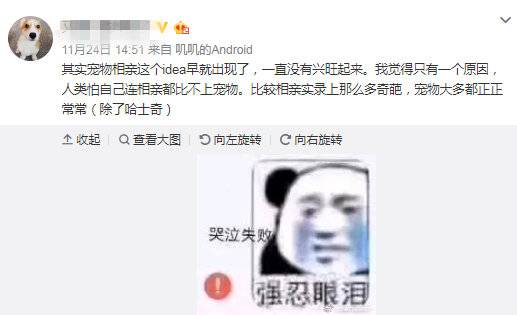 宠物也难逃被安排相亲 主人：物质不能满足我的爱