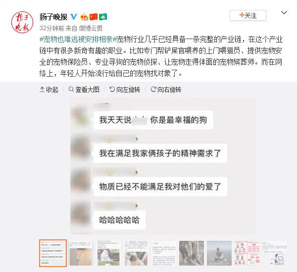 宠物也难逃被安排相亲 主人：物质不能满足我的爱