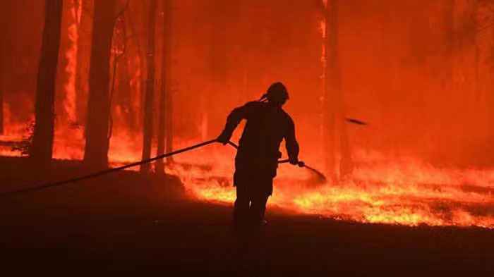 △新州西北部的丛林大火（图片来源：当地媒体）